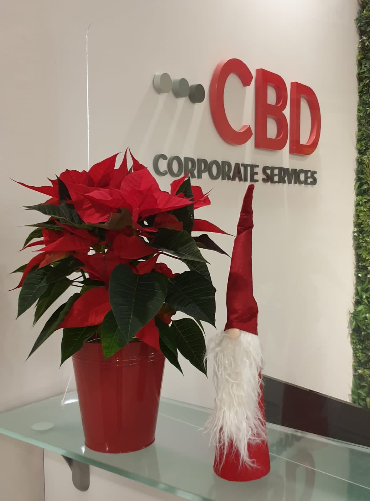 CBD Staff Christmas 2022